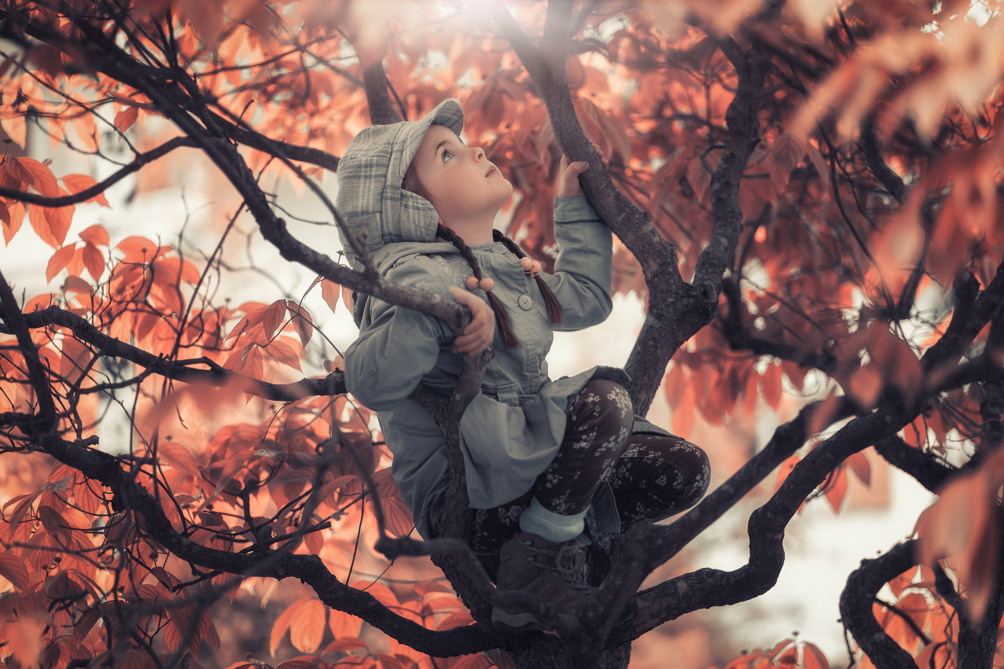 Her tree. Девочка сидит на дереве. Девочка сидит зимой на поваленном дереве