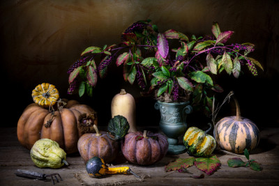 Le sorelle zuccone Le sorelle zuccone