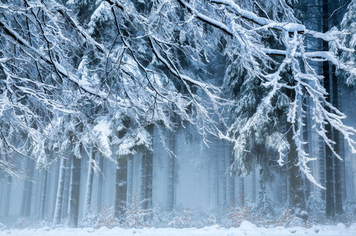 Snowworld