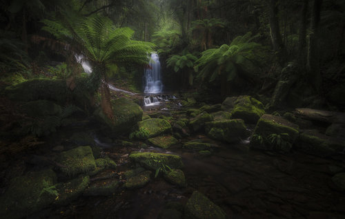 Horseshoe Falls