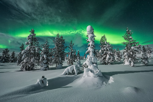  polar night