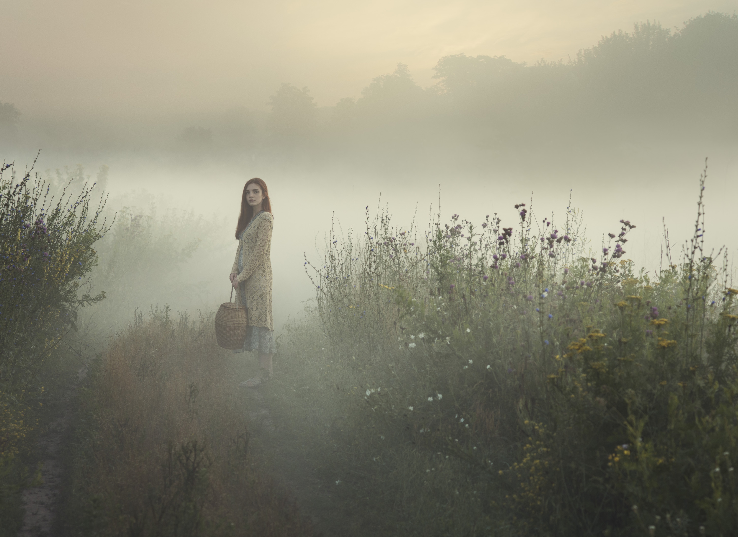 Как там живется сквозь жизни туман песня. Фотограф Дэвид Дубницкий. Дэвид Дубницкий деревня дождь.