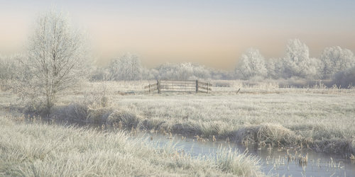 winter in the wieden