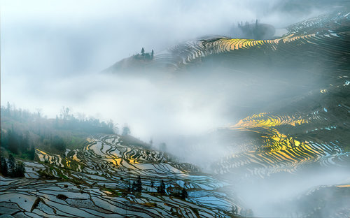 Yuan Yang rice terraces
