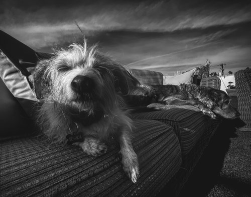 Sunbather