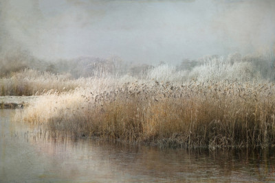 Wintermorning